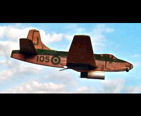 wren01